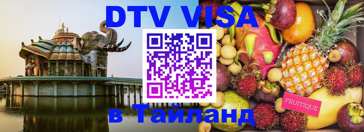 Оформление DTV визы под ключ: стоимость и тарифы, только загранпаспорт - 